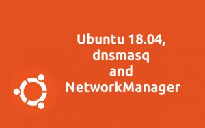 Ubuntu 18.04, dnsmasq and NetworkManager
