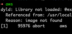 dyld-library-not-loaded-macOS-Catalina